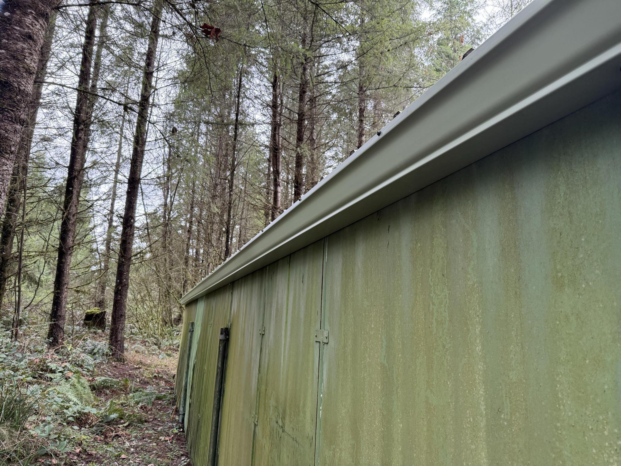 Moss-covered building exterior showing need for professional cleaning and maintenance services